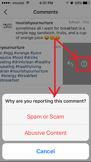 Report a Comment on Instagram - 4
