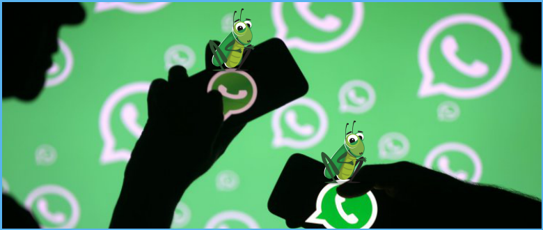 Here’s how to Fix this Bug in WhatsApp